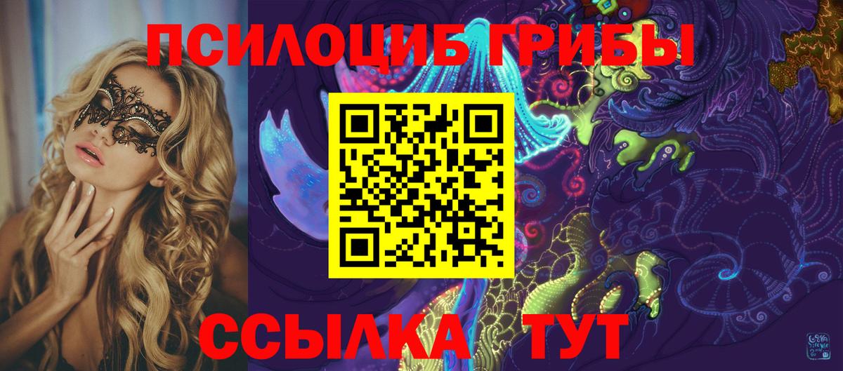 Элиста  Псилоцибиновые грибы GOLDEN TEACHER  Вход с VPN 